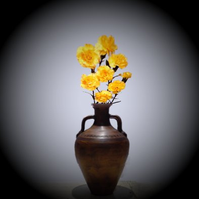 REFLEJO DE UN CLAVEL